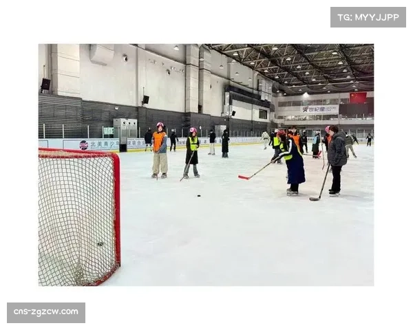 冬奥会冰场尺寸引发关注,球员安全成为首要考量 冬奥会冰场尺寸引发关注,球员安全成为首要考量